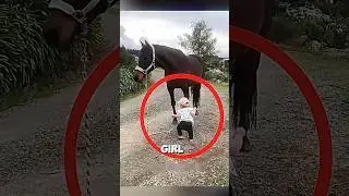 The little girl bravely took the horse with her 🐴