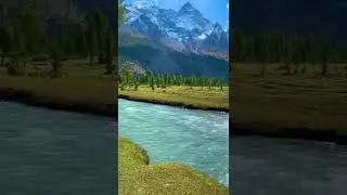 Basho Meadows Gilgit Baltistan Pakistan 🇵🇰❤️