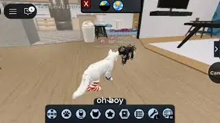Aubbrey2236 accidentally meeting his ex-partner. (Aubbrey2236 archived video.) 
