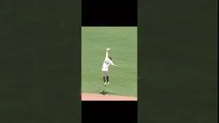 Vertical leap on 99 📈😲 Which catch was the best? 🔥#baseballreels #insanecatch #jumpman
