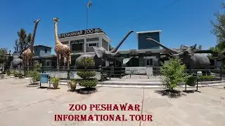 Peshawar Zoo Informational Tour | Chidya ghar Palosi Road Peshawar Pakistan | @khybersocialhub