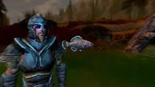 SKYRIM - PYGMY SUNFISH  (location walkthrough commentary)