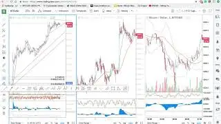 BTC the Big Picture