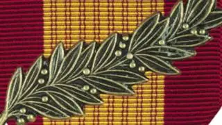 Vietnam (RVN) Gallantry Cross Medal | Medals of America