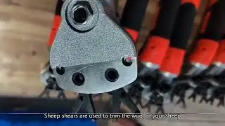 Cattle Clippers,automatic sheep shearing,sheep shearing video China Customization good supply
