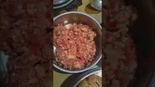#littichokha#litti#schooltiffinbox #officelunchbox#lunchboxidea#shortsvideo#shortsfeed #youtubeshort