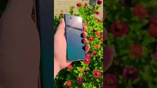 Samsung Galaxy S10 Plus Performance Edition Ceramic White