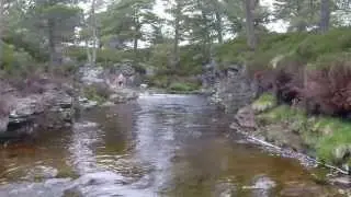 Linn of Dee wild camp June 2015