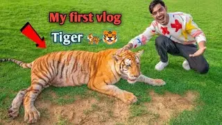 My First Vlog Chidiyaghar//My First Vlog Crazy Xyz Amitbhai With Tiger