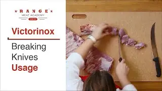 Kari Underly Victorinox Breaking Knives