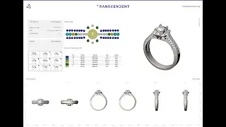 0016 -Ring, #thetranscendent