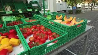 Stadt Altstätten (Video)