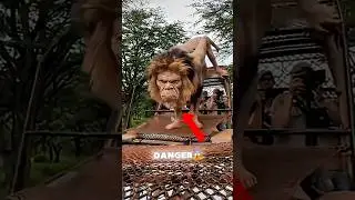 Top 3 Animals that have really dangerous bites 😨😨 #animals #shorts #dangerous #viral