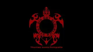 Thomas bunte Fotografie - Die kleinen Helferlein Teil 2, 2024 #friedhof #ki #denkimpuls #zusammen