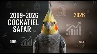 Cockatiel Parrot ka Safar | Pakistan ki Pet Bird Market Reality