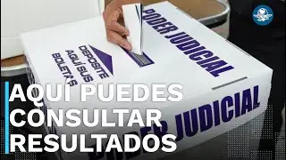 &iquest;D&oacute;nde y c&oacute;mo consultar los resultados de la elecci&oacute;n judicial 2025?