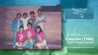 Pedro Nelson Mendez - La Creaci&oacute;n