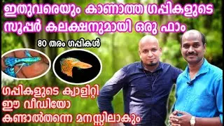 ഇതുവരെയും കാണാത്ത പുതിയ തരം ഗപ്പികളുമായി ആദിൽ ഗപ്പി ഫാം/New item guppy farm in malappuram