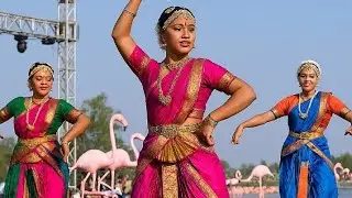 ఫ్లెమింగో ఫెస్టివల్‌లో అద్భుతమైన డాన్స్ ప్రదర్శనలు  సూళ్లూరుపేట వేదిక రాష్ట్రానికి ఆకర్షణ