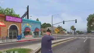 PAID] [ T-LAB Weapon Pack with police guns