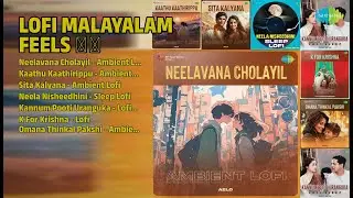 LoFi മെലഡീസ് 2024-2025 | Aelo Songs | Neelavana Cholayil  Ambient Lofi