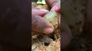IS Chrysoberyl so expensive? 😱#Chrysoberyl #stone #rock #gems #gemstones #satisfying #roughgems #gem
