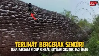 WARGA HISTERIS‼️ Batu Ular Raksasa Ini Bergerak Beberapa Detik Setelah Terkutuk Ratusan Tahun...