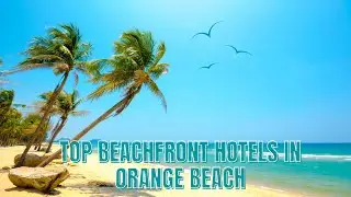 Top Beachfront Hotels in Orange Beach ||Unforgettable Oceanfront Stay!