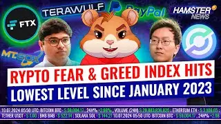 Обновление скандала с FTX, стейблкоины от PayPal, EURC от Circle ⚡️ Hamster News