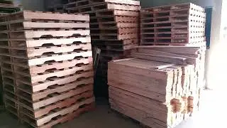 Olha os paletes 