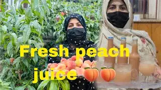Fresh peach 🍑 juice recipe || how to make peach juice 🥤 || healthy juice 🧃 || refreshing summerdrink