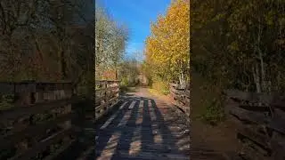 Crossing the Bridge 🍁 | Beautiful Fall Walk in Banks, Oregon