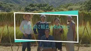 【屋久島ドキュメンタリー EP.1】Yaku-shima New Farmers 2024｜移住した竜ちゃんとベルくんが挑む、田んぼ再生の記録｜無農薬・自然栽培×エレクトロカルチャー｜