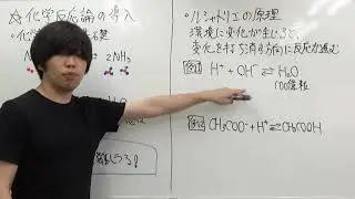 【高校化学】化学反応論の導入（化学平衡の基礎など）【無機化学#3.5】