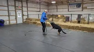 1/10/26 Secondary Obedience 