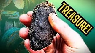 A Forgotten Historic Coin Hoard Hidden in the Forest&hellip; | Metal Detecting