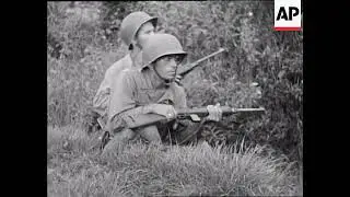 1st Batallion, 35th Regiment Combat Team, 25th Division On Luzon