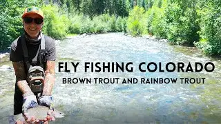 FLY FISHING the East Fork of the San Juan | (catch and cook)  | VAN LIVING