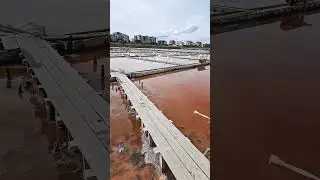 Exploitation de sel devant le mus&eacute;e du sel &agrave; Pomorie🇧🇬Bulgarie