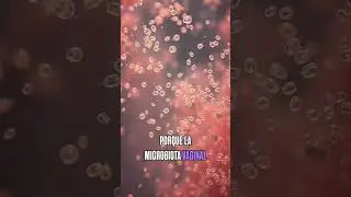 Tu Infecci&oacute;n Vaginal NO se cura por esto (Eje Intestino-Vagina) 🍄📉