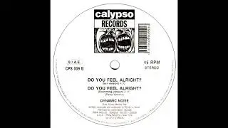 Dynamic Noise  &ndash; Do You Feel Alright  1991