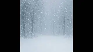 Christophoro - Hullik a h&oacute;