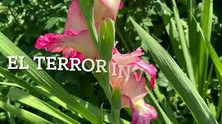El terror invisible 1