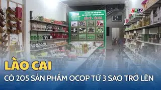 L&agrave;o Cai c&oacute; 205 sản phẩm OCOP từ 3 sao trở l&ecirc;n | THLC
