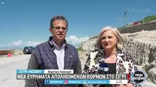 Νέα ευρήματα απολιθωμένων κορμών στο Σίγρι