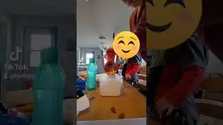 Fromage r&acirc;p&eacute;  