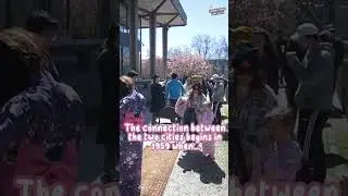 Cherry Blossom Festival #cherryblossoms #japan #lehighvalley #cherryblossomfestival #tondabayashi