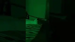 Toe nibbler