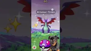 When I Got✨️Shiny Mega Charizard X But🥲in Pokemon GO