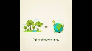 World forestry day